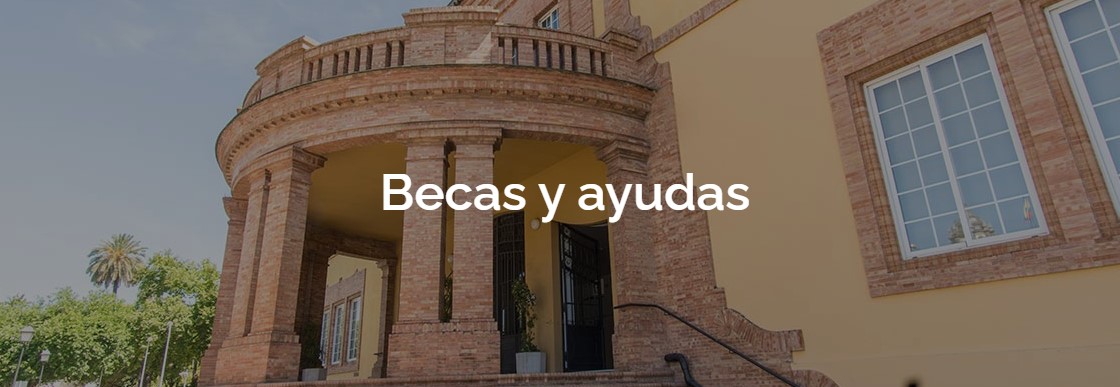 becas y ayudas no erasmus