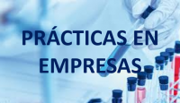 PRÁCTICAS EN EMPRESAS CURSO 2019 - 2020