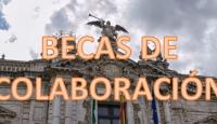 BECAS DE COLABORACIÓN