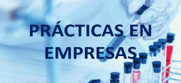 PRÁCTICAS EN EMPRESAS CURSO 2019 - 2020