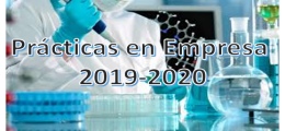 Adjudicación definitiva 1ª y 2ª convocatoria Prácticas en Empresa 2019-2020