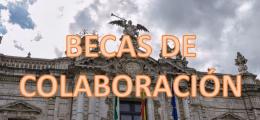 BECAS DE COLABORACIÓN